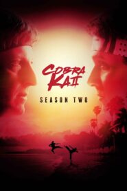 Cobra Kai: Season 2